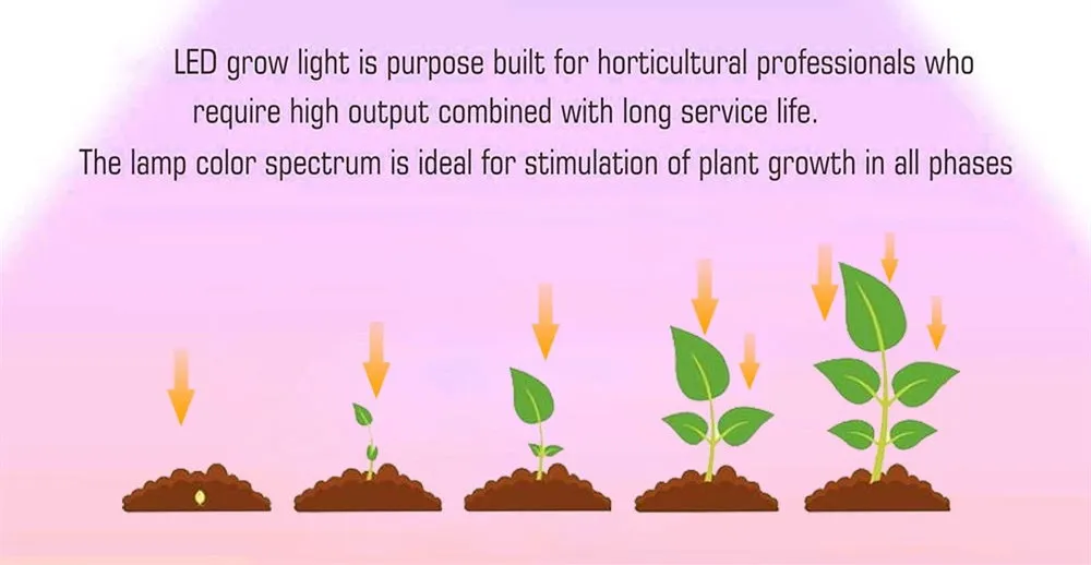 1.2m 2021 New Design LED Lights for Plants LED Grow Lights for Seeding for Solanaceae Wholesale / Retail