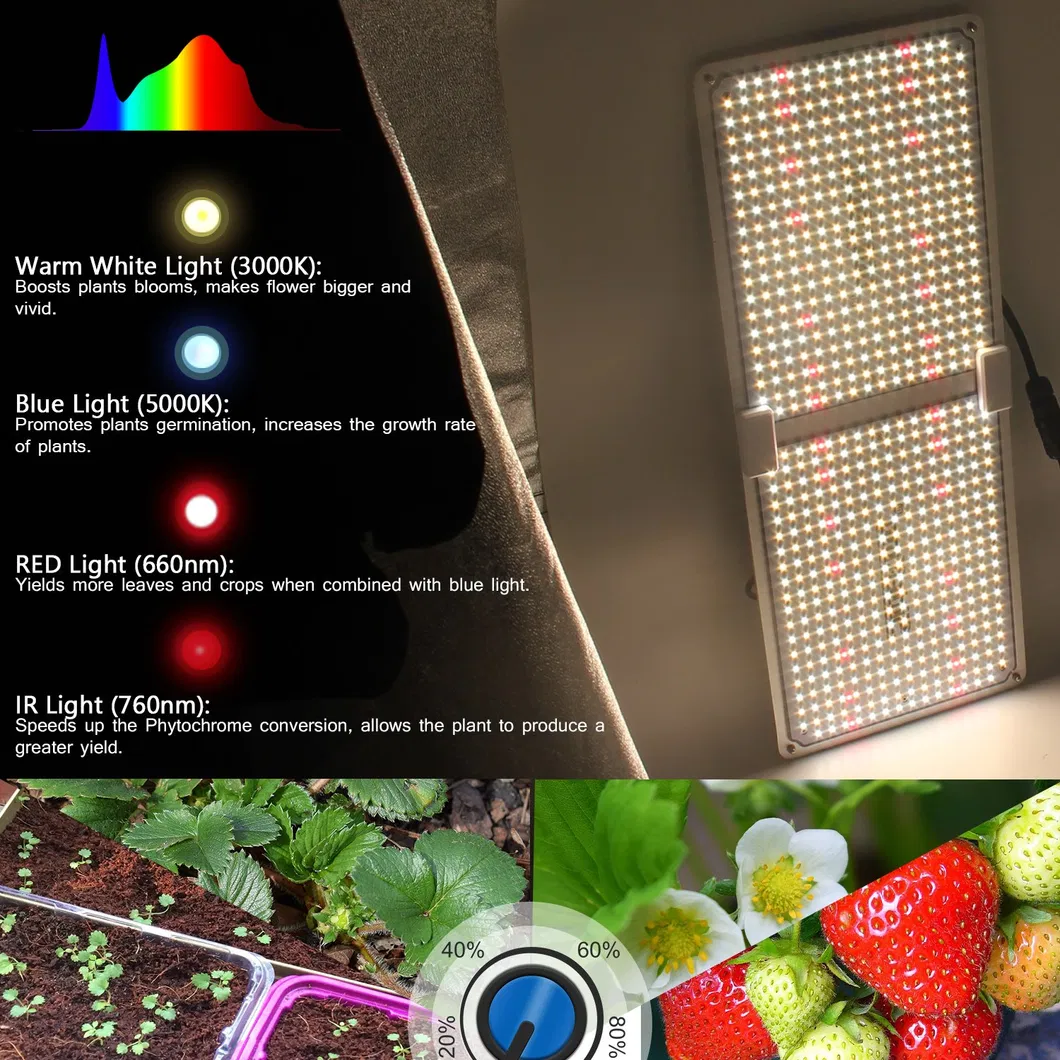 100-270V AC Waterproo IP65 LED Grow Light
