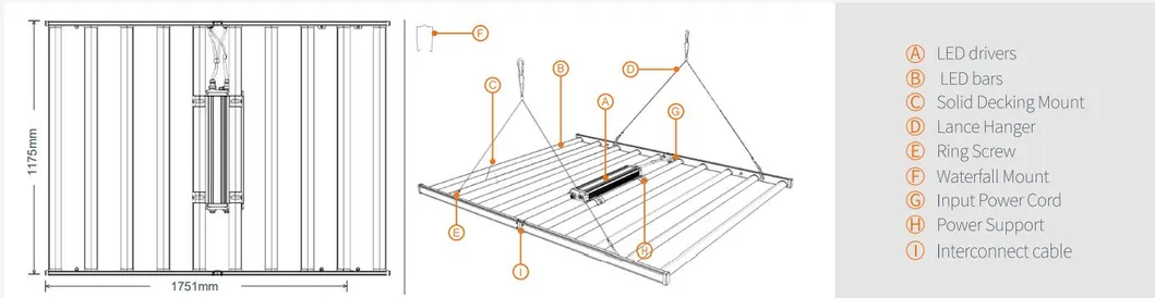 1000W 2835 Full Spectrum and Medicinal Plants Spectrum LED Grow Light for Greenhouse and Plants Factory