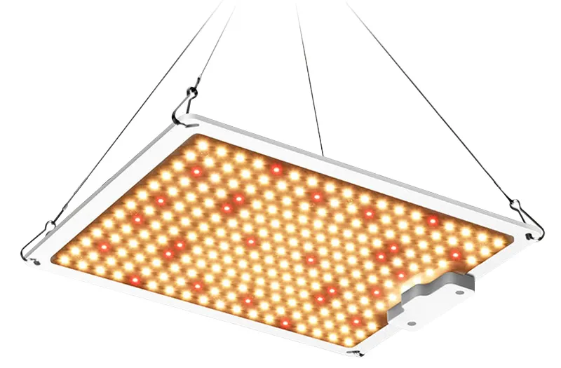 100W 200W 400W 600W Samsung Lm301b Lm301h Rl14 Port Dimmable Driver High PPE Ppfd LED Grow Light