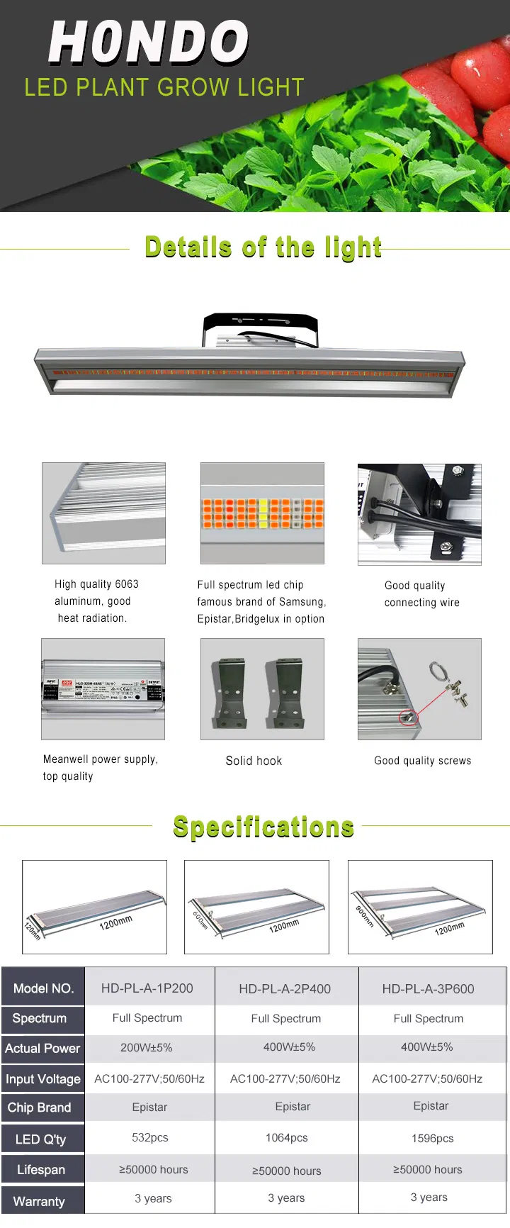2019 Most Popular Best LED Grow Lighting for Organic Hemp Flowers