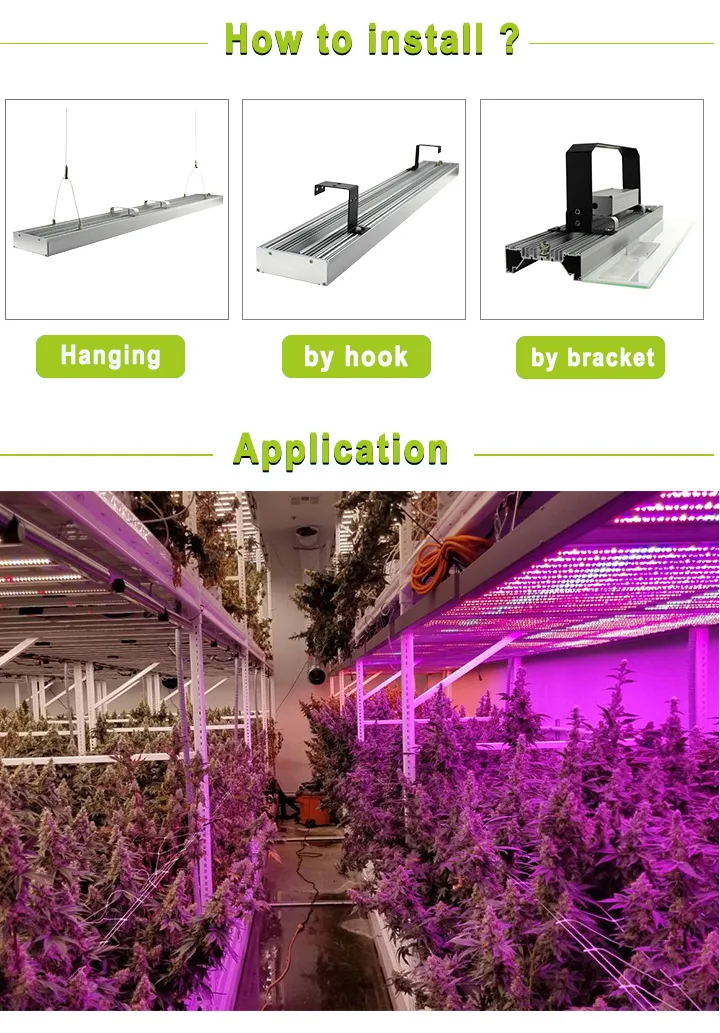 2019 Most Popular Best LED Grow Lighting for Organic Hemp Flowers