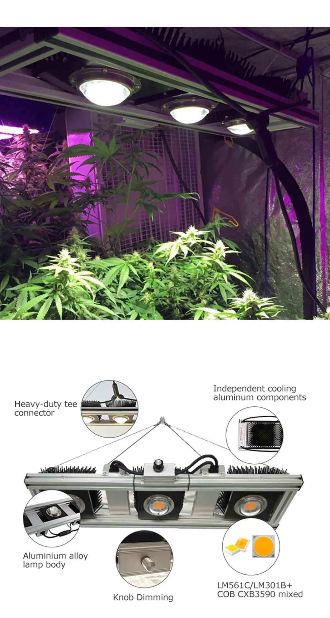 2021 China Supplier Green House Samsung 301b Lm561c LED Grow Lights Vertical Farming Sf4000 2000sf 640W 800W for Indoor Plants