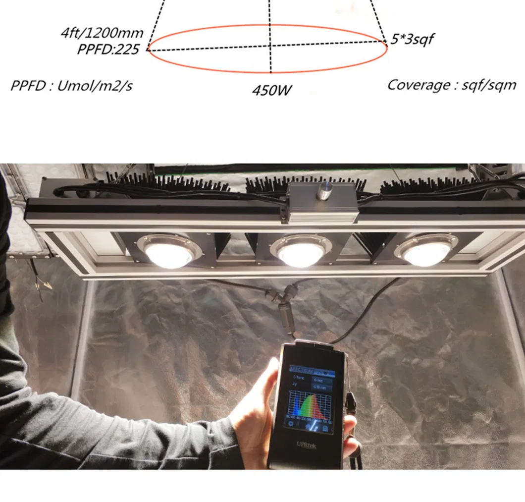2021 China Supplier Green House Samsung 301b Lm561c LED Grow Lights Vertical Farming Sf4000 2000sf 640W 800W for Indoor Plants