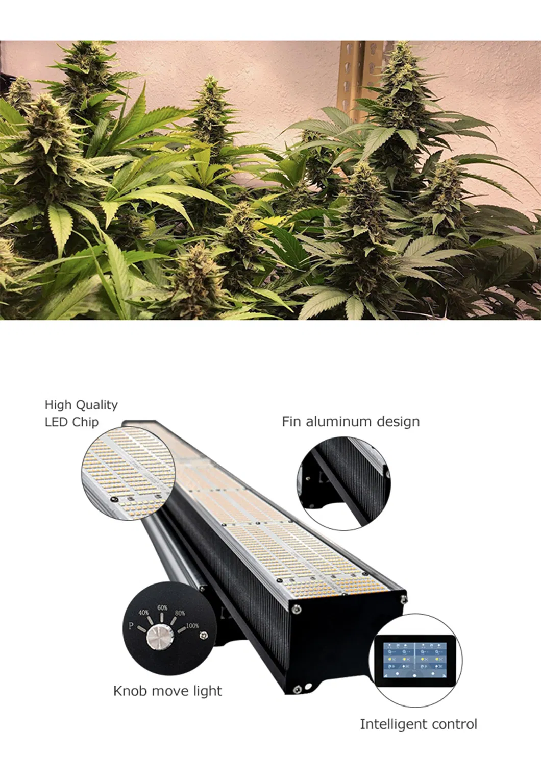 2021 New Arrival 660W Samsung Osr LEDs 1700e PRO Plants Grow Light LED for Greenhouse Tent