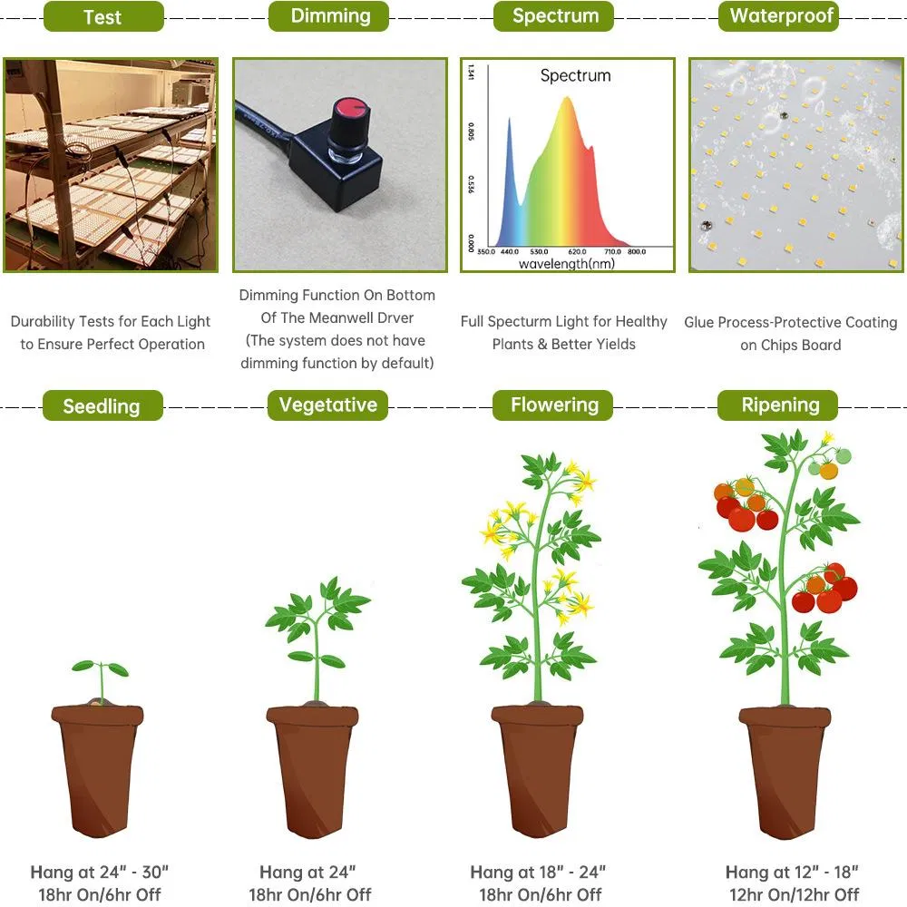 240W LED Grow Light Using Newest Sundopt Lm301b for Indoor Plants Growing Flower Stage Seeds Vegetative Stage Germination
