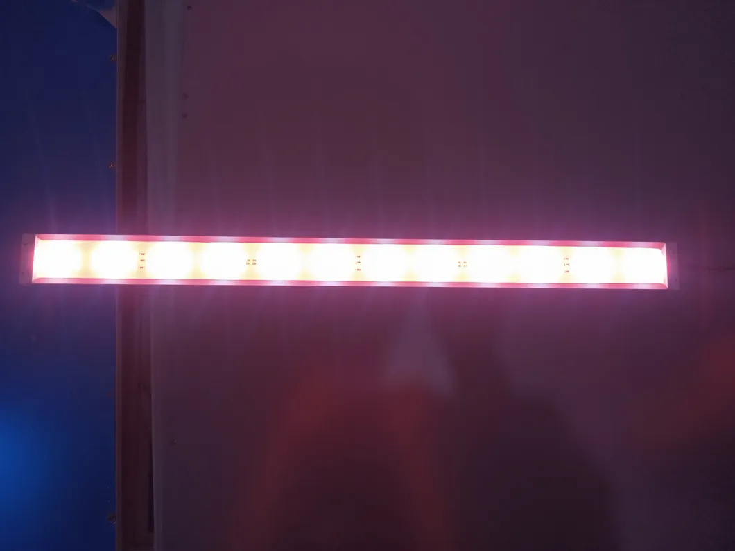 40/41W 2021 New Design LED Lights for Plants LED Grow Lights for Seeding for Vegetable Wholesale / Retail