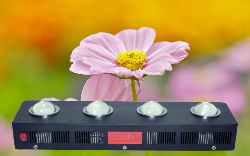 500W Factory Price LED Grow Light for Indoor Hydroponics