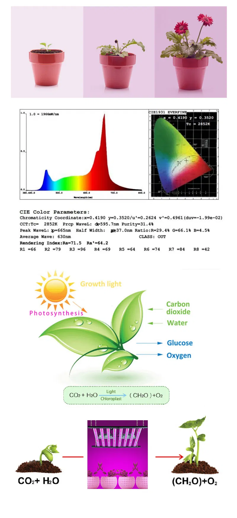 600W New Cheaper 100-277V AC Special Promotion LED Full Spectrum Plant Grow Light Vegetables