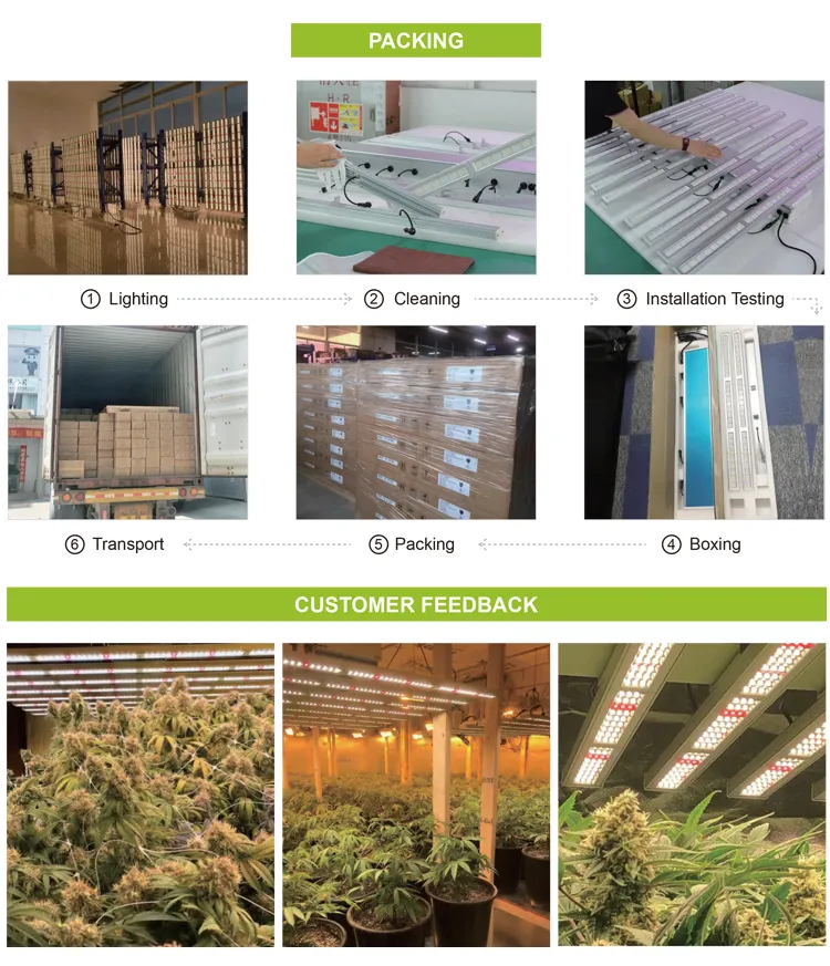 600W Sf4000 Spider Lm301b Lm301h LED Grow Light for Indoor Plants 1000W for Sale LED Grow Light