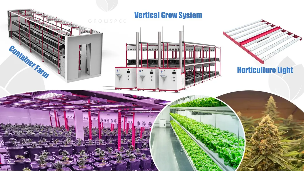 650W Aluminum High Power LED Grow Light for Vertical Farm Horticultural