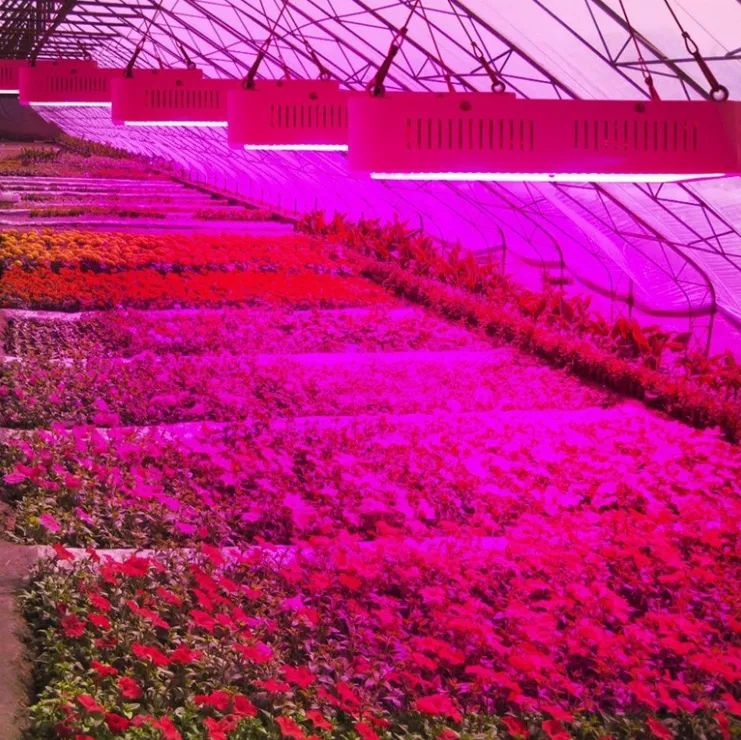 AC85-264V Red/Blue Energy Saving 300W LED Grow Light
