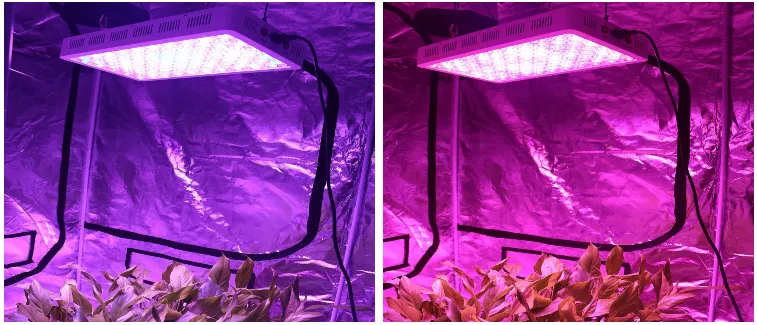 AC85-264V Red/Blue Energy Saving 300W LED Grow Light