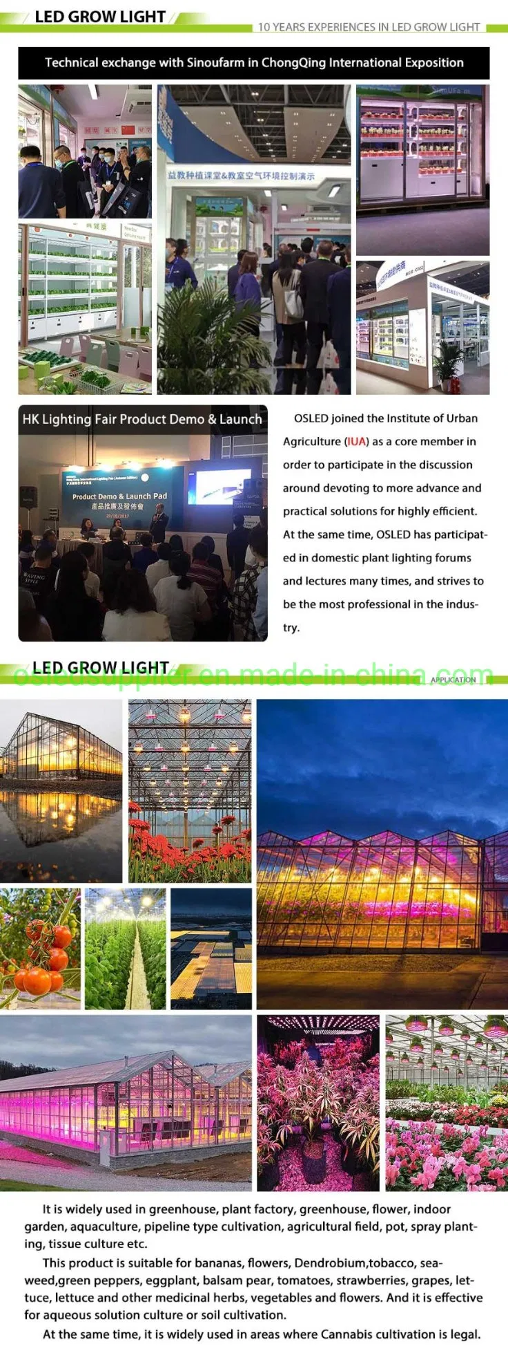 Amazon LED Grow Light Supplier LED Grow Light with CREE&Osram LED Chips, UL Driver, Full Spectrum Dimmable Growing Lamp for All Stage