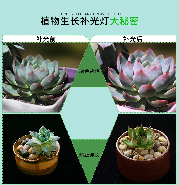 Dimmable Levels 4/8/12h Timer Setting 3 Switch Modes Full Spectrum LED Plant Light