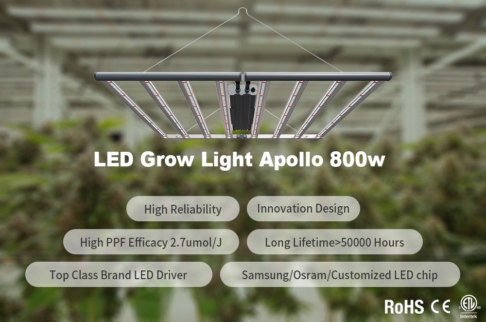 ETL/CE Approved High Quality as Gavita Full Spectrum Commercial LED Vertical Farming Bars 800W for Indoor Plants