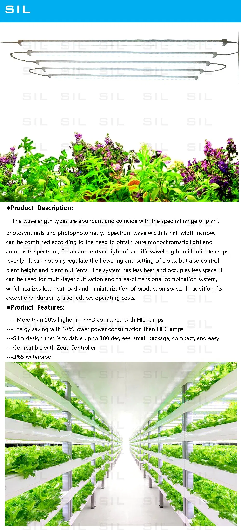 Full Spectrum Red LED Light Hofoled High Ppfd Indoor Plants Dimmable Quantum Board 0.9m LED Grow Light Tube