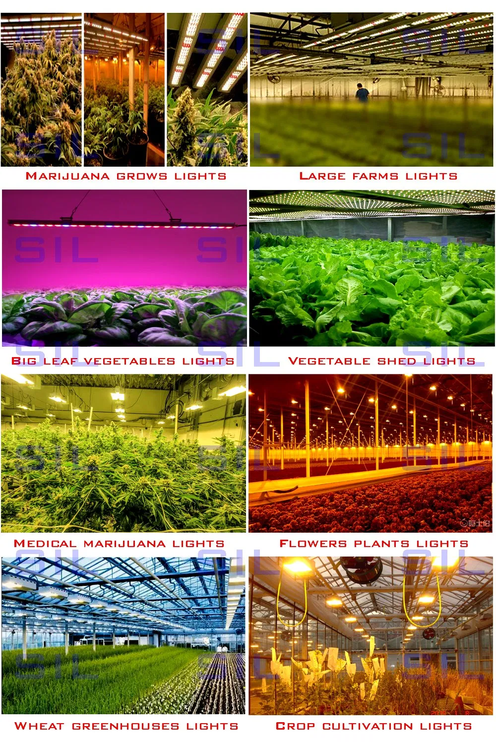 Full Spectrum Red LED Light Hofoled High Ppfd Indoor Plants Dimmable Quantum Board 1.2m LED Grow Light Tube