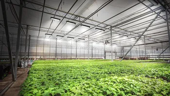 High Power 2.8umol/J 660nm 350W Full Spectrum LED Grow Light for Hydroponic Plant