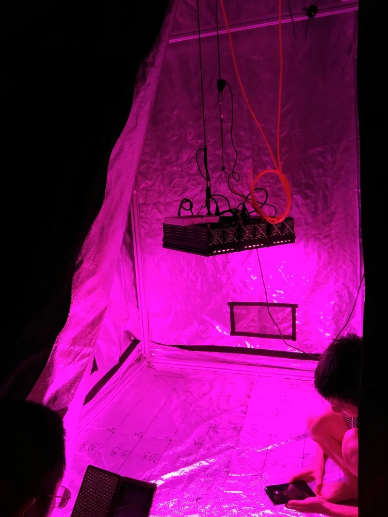High Power 400W 800W LED Grow Light