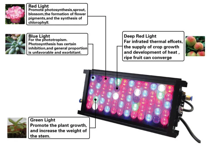High Power 400W 800W LED Grow Light
