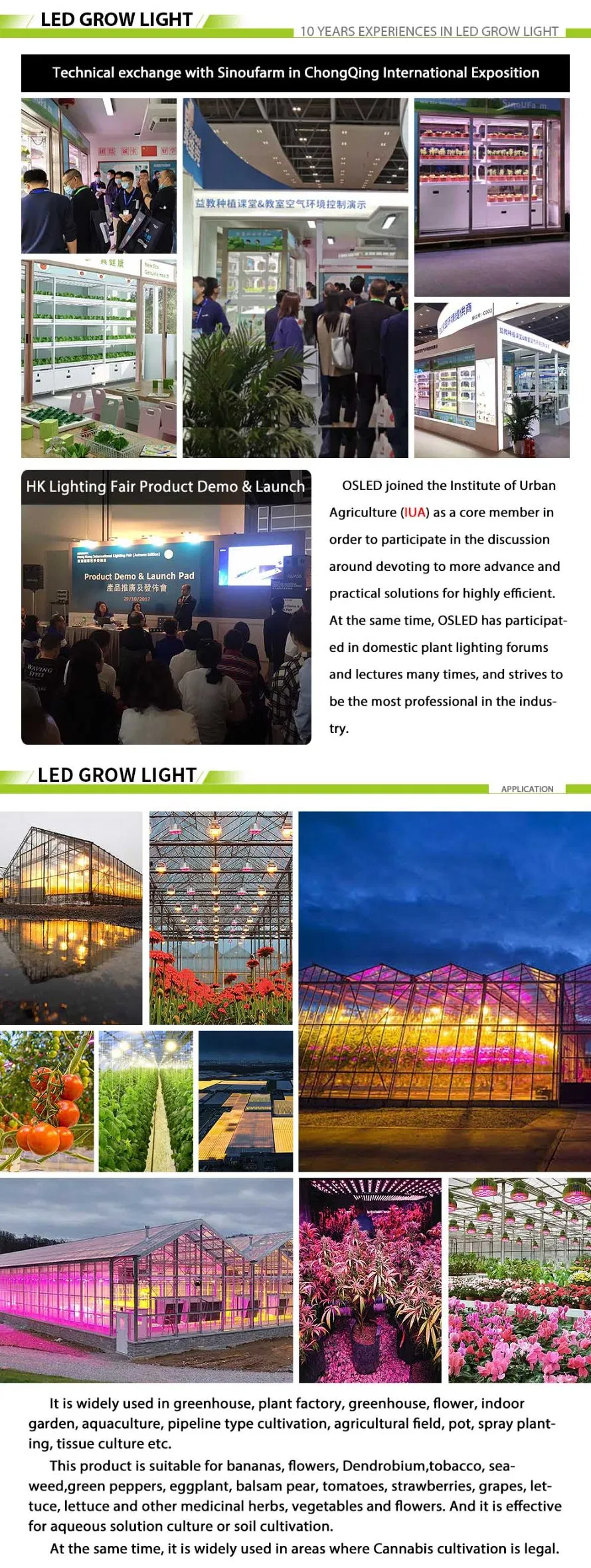 Higrowsir Horticultural Lighting Indoor Hydroponics Vegetables Growing LED Lights 640W Grow Light