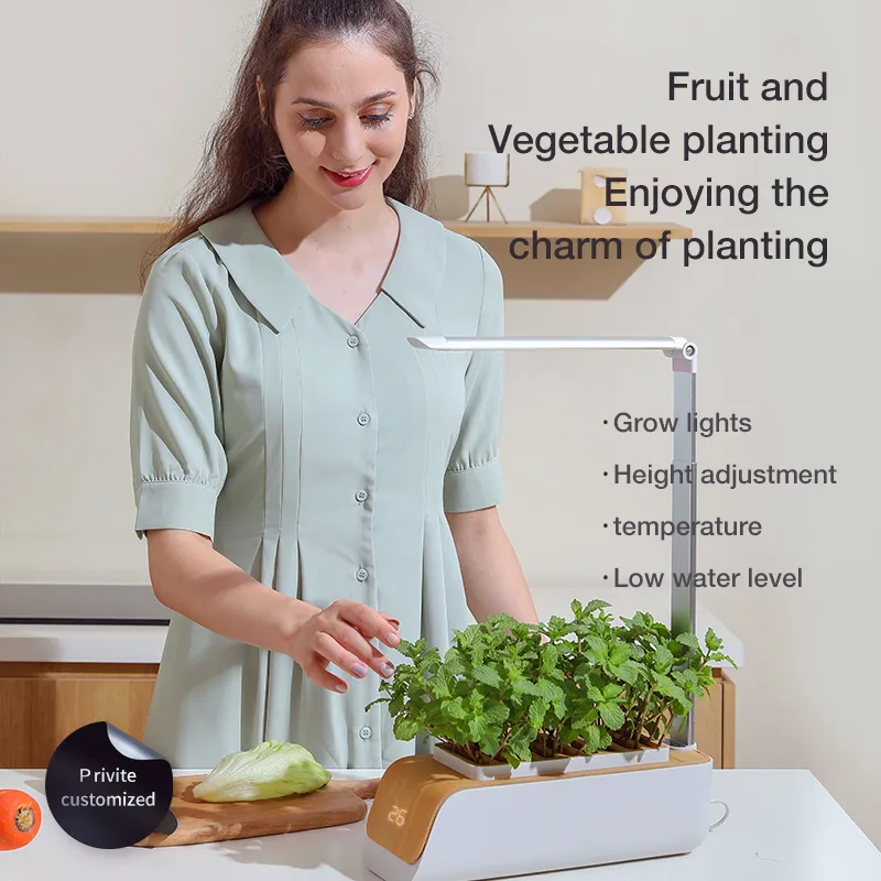 Hydroponics Kitchen Kit Indoor Growing Systems Mini Home Garden with LED Plant Grow Light