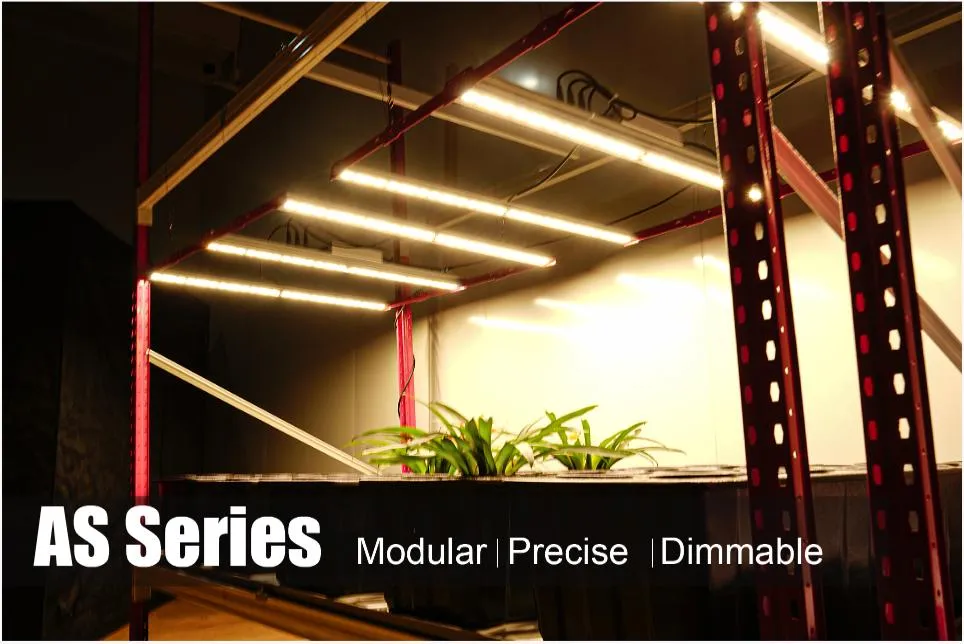 LED Grow Light Indoor Plant Full Spectrum Greenhouse Hydroponic 640W/800W/1000W