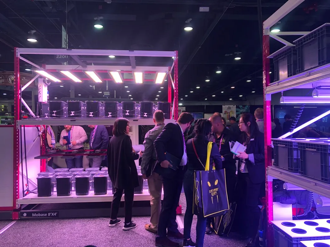 LED Grow Lights Full Spectrum for Greenhouse Indoor Lighting 300W