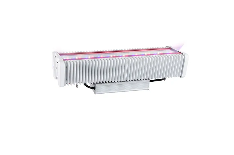 LED Grow Lights Full Spectrum for Greenhouse Indoor Lighting 300W