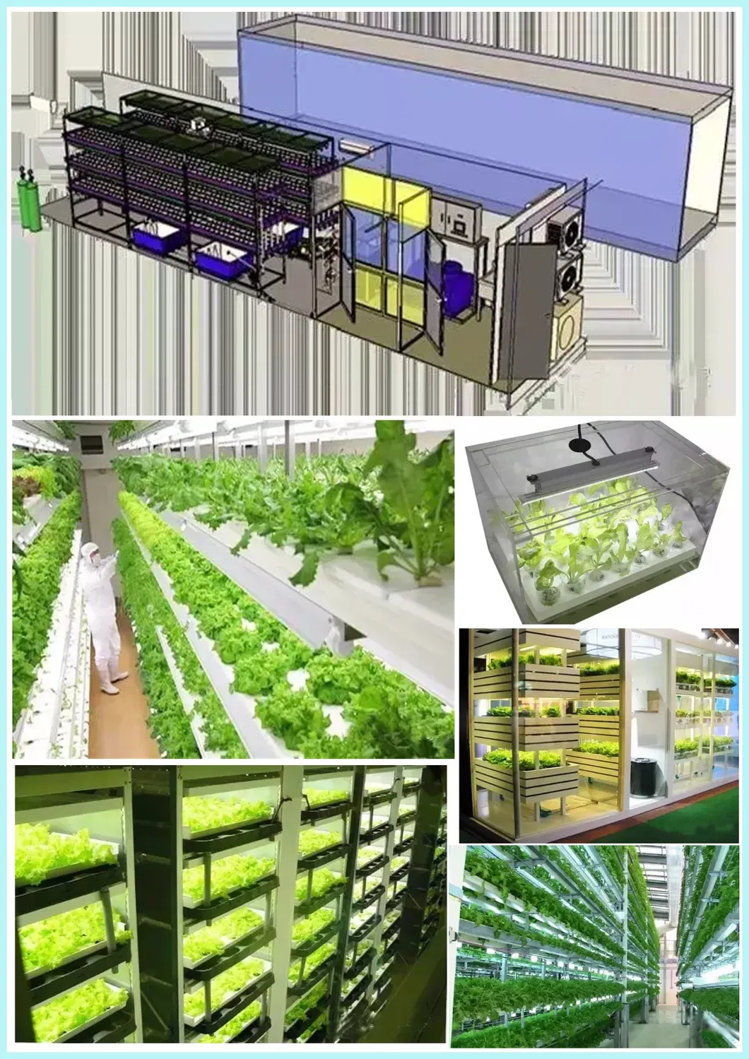 Lp Series 6 Full Spectrum LED Grow Light
