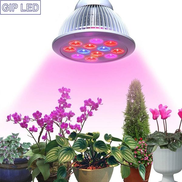 Mini 12W LED Grow Light for Bonsai Home Planting