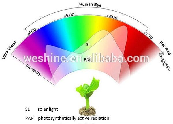 Mini 12W LED Grow Light for Bonsai Home Planting