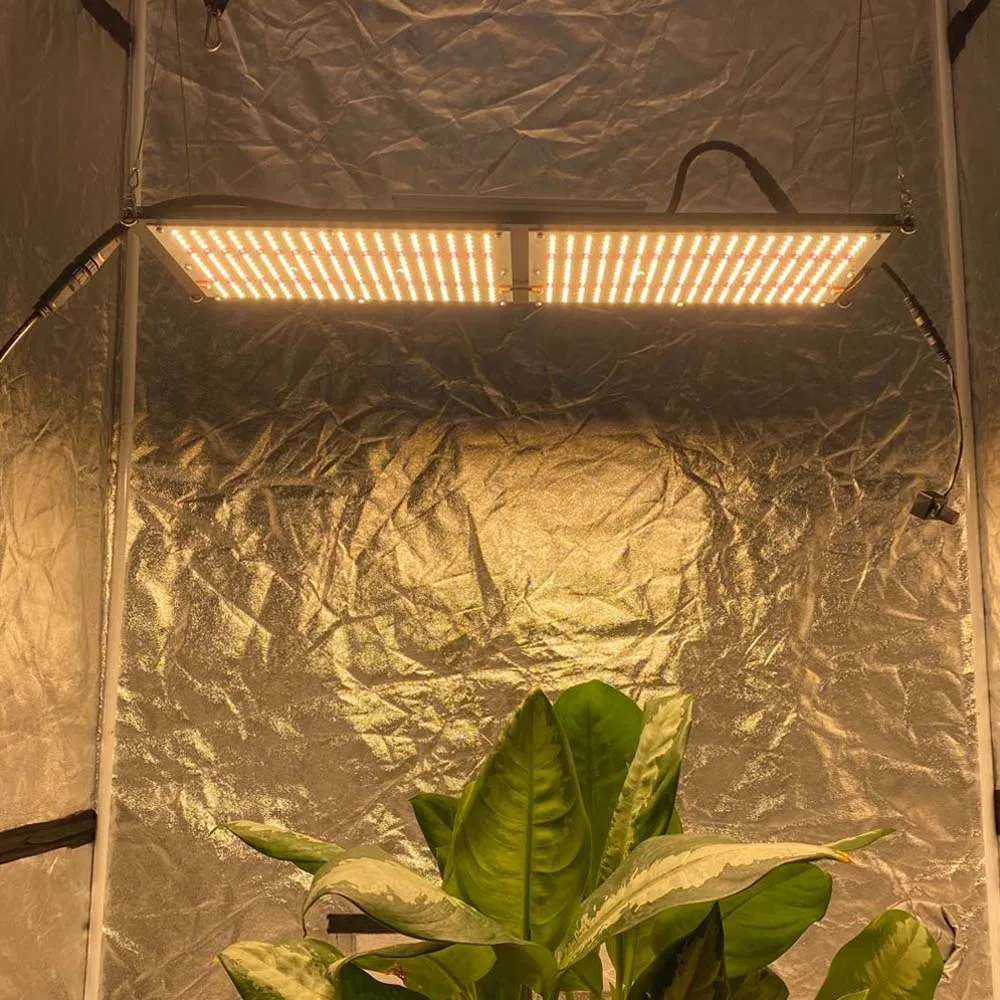 Perfect 3000K 3500K 4000K Qb288 V2 Board Sam-Sung Lm301b Grow LED Light with MW Driver