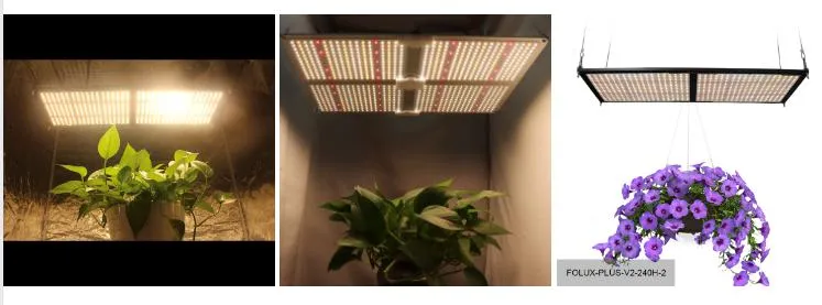 Pre-Assembled 240W V3 Qb Light with Lm301h and Epistar 660nm Red LED Grow Light