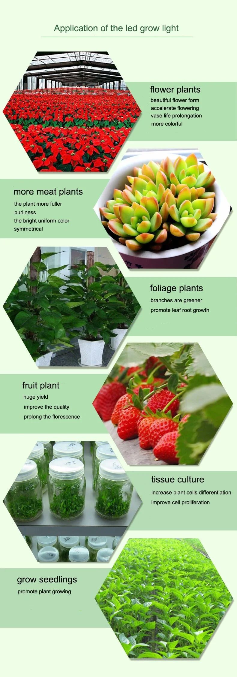 Samsung 561c with White Ray LED Grow Light for Home Grower Tent to Supplement Lighting 120W