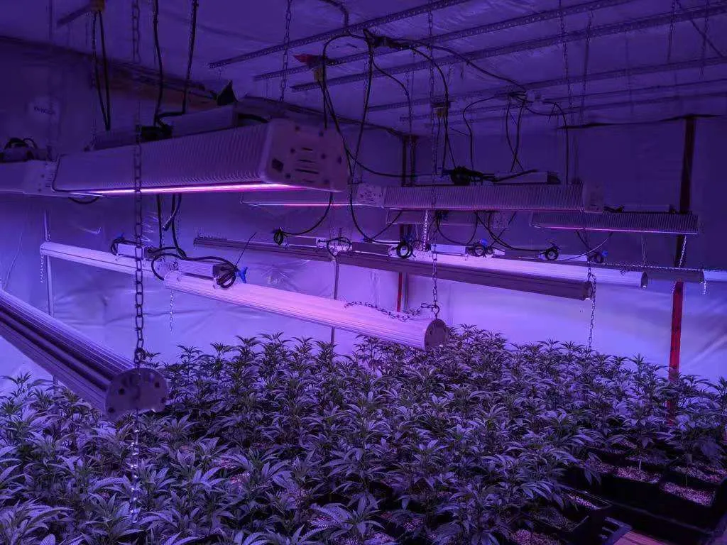 Samsung LED Linear Design LED Grow Light Bar 185W 150W