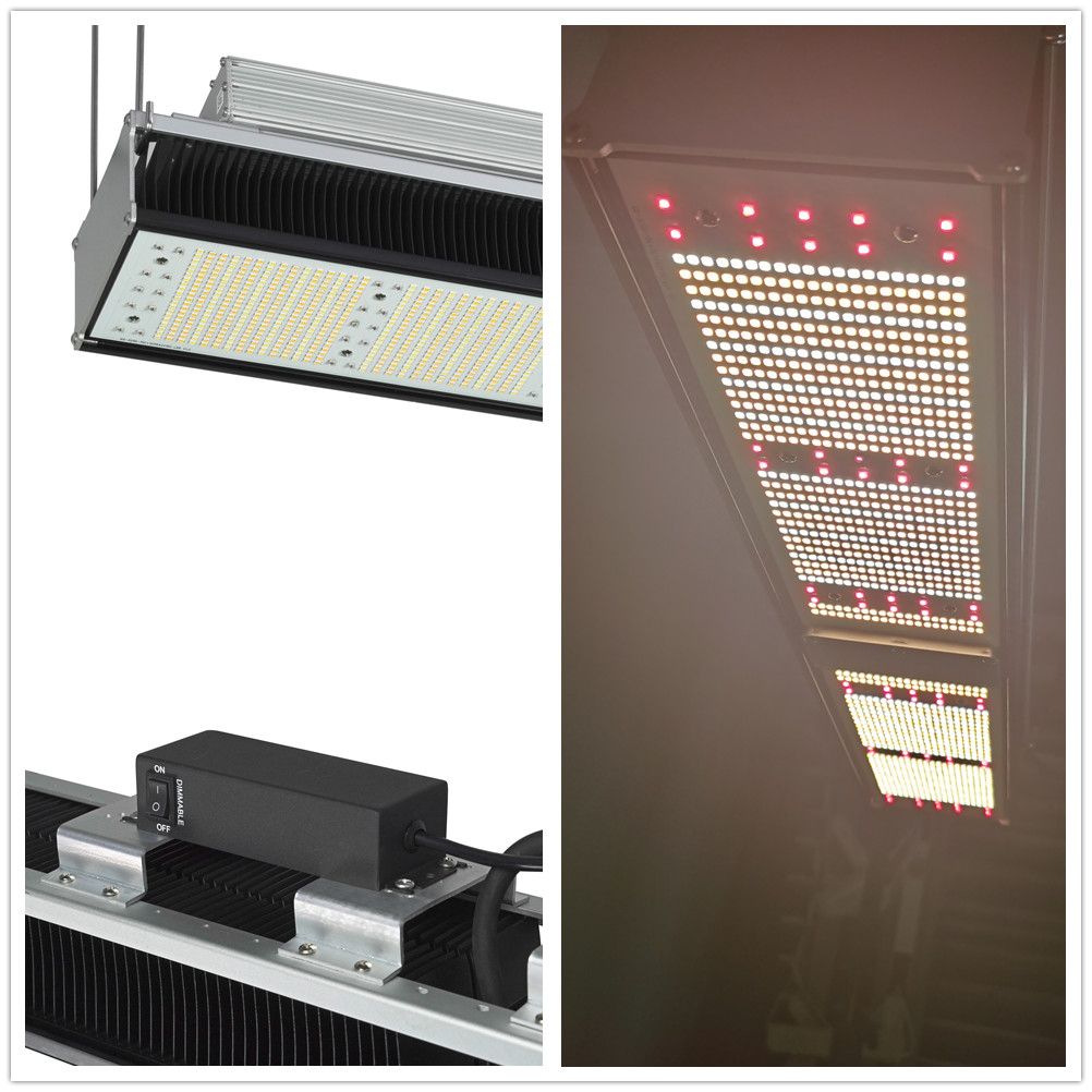 Samsung Lm301b Lm301h Full Spectrum LED Grow Light for Vertical Farming Horticulture