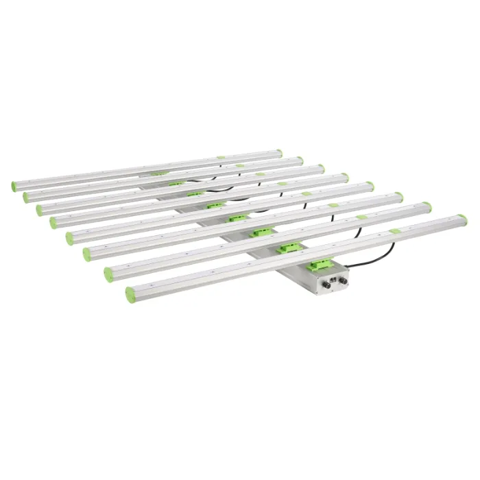 Seedling 50000h Rygh Lights Plant LED Grow Light with Factory Price Rygh-Bz800