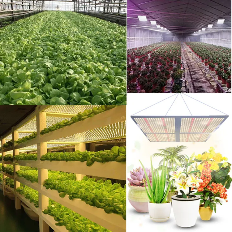 UV IR Full Spectrum 480W 660nm Indoor LED Grow Light