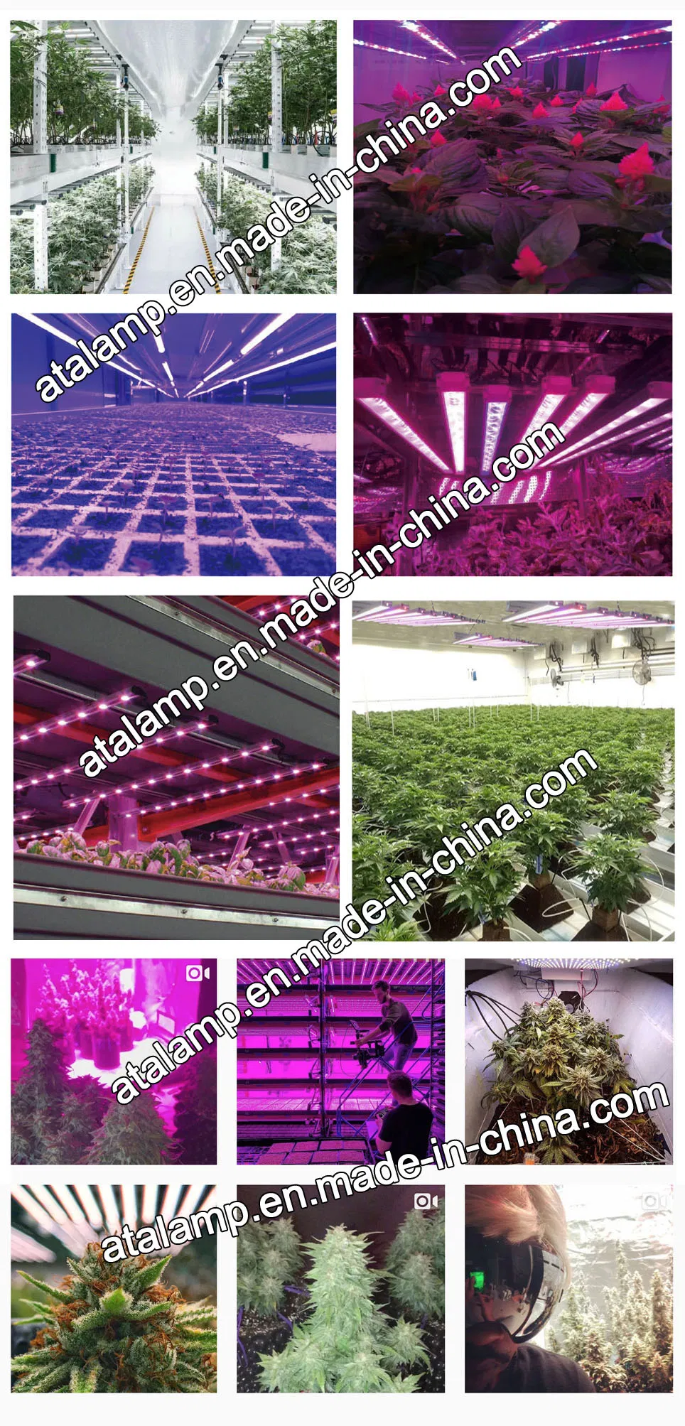 Wholesale Best LED Grow Light Tube LED Aluminum 1000W LED Plant Grow Light Horticulture Light for Green House