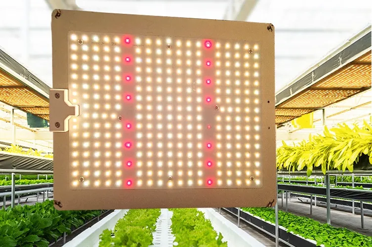 Wholesale Shenzhen Commercial High Power LED Grow Light